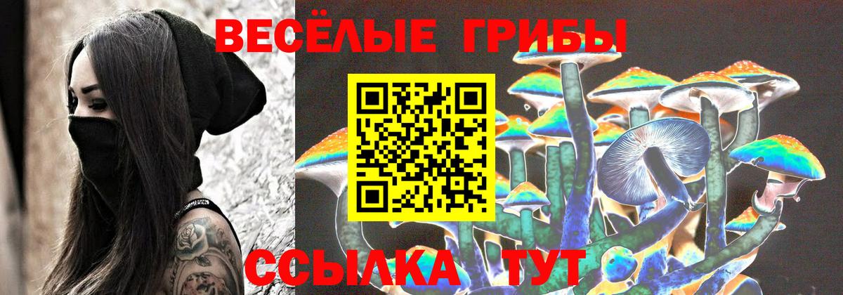 Гусев  Галлюциногенные грибы GOLDEN TEACHER  Вход с VPN  Псилоцибиновые грибы мицелий 